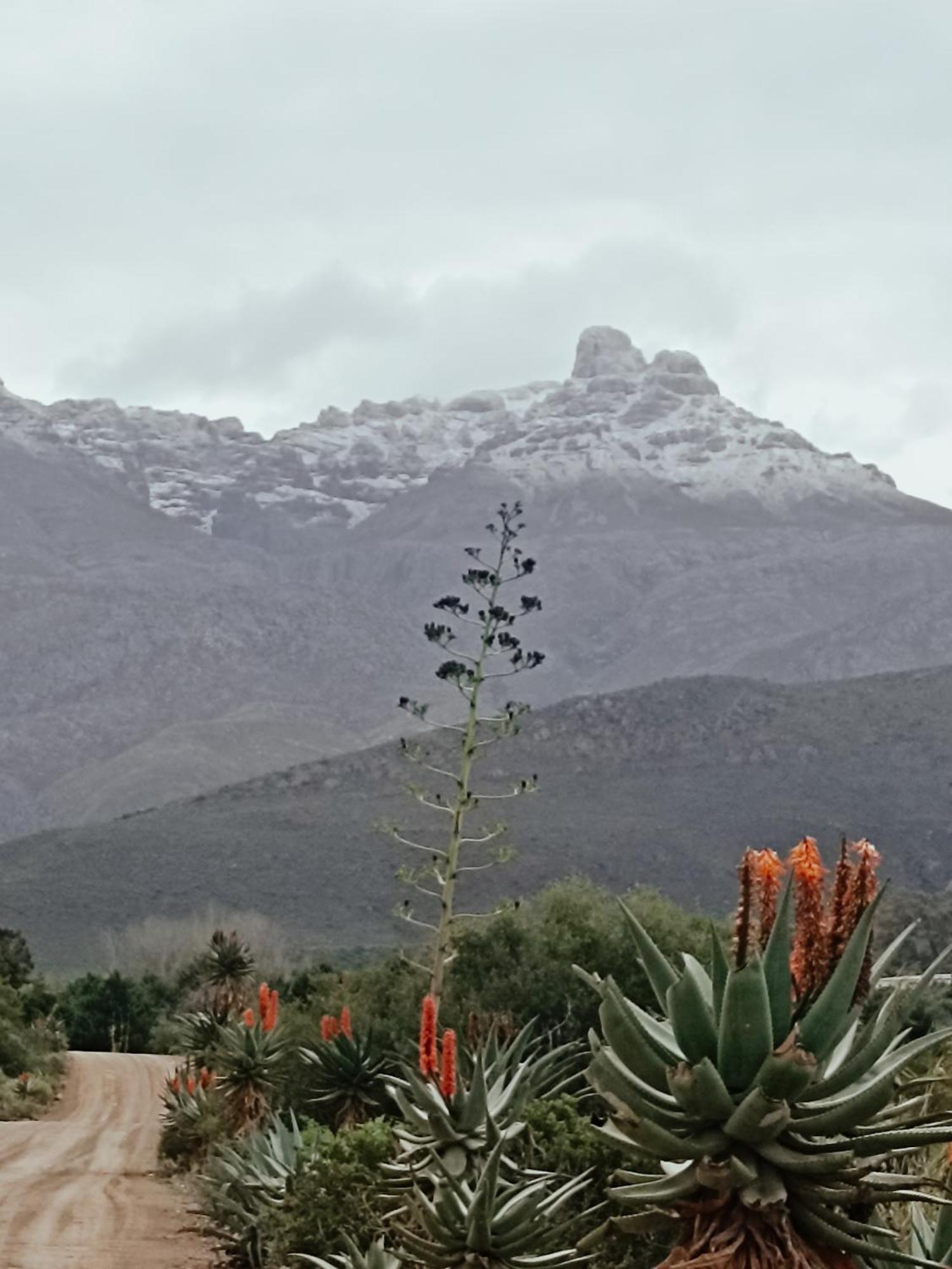 Hotel Sipreslaan Selfsorg Gastehuis Ladismith Exteriér fotografie